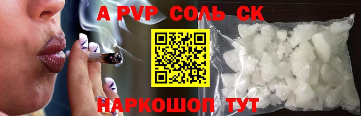 A PVP СК Великий Новгород