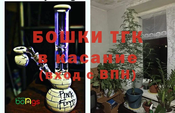 мяу мяу мука Шали