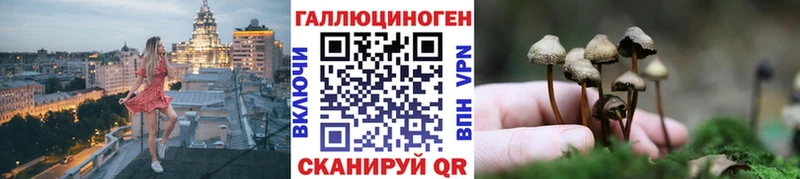 продажа наркотиков  Великий Новгород  Галлюциногенные грибы Cubensis 