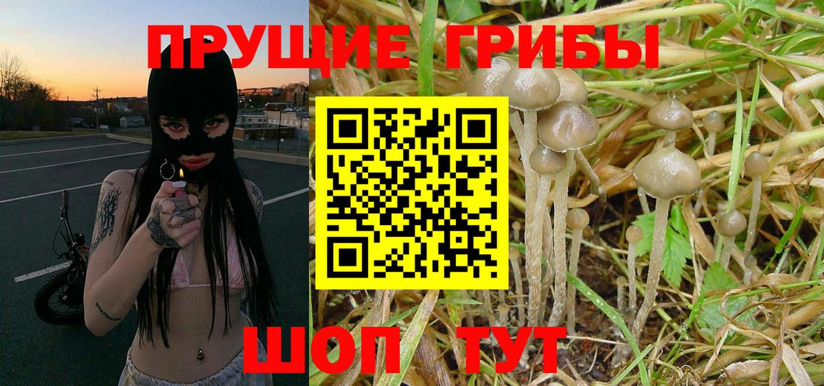 Галлюциногенные грибы Magic Shrooms Великий Новгород