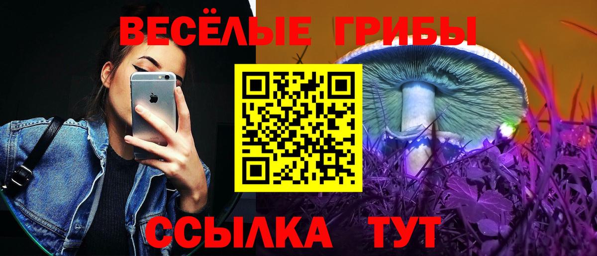 Галлюциногенные грибы ЛСД  Вход с VPN  Великий Новгород 